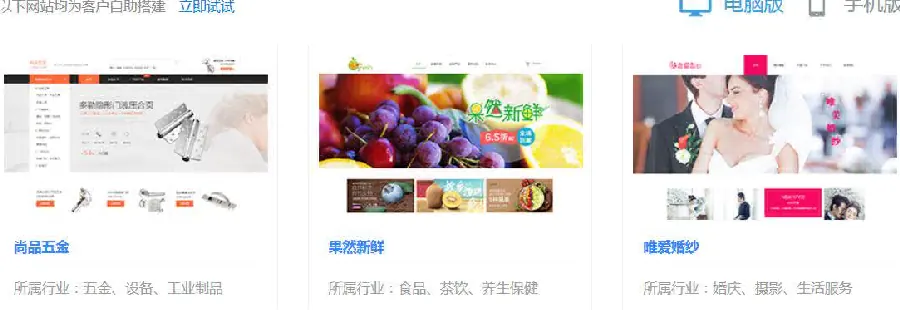 新站排名策略:从“收录”到“首页”的路径 示例图